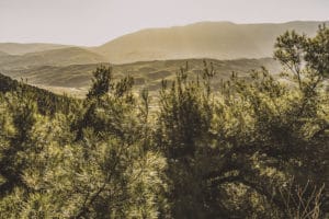 The Landscape in Albania
