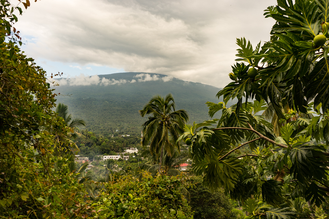 Rainforest in Comoros