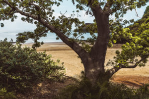 Traveling in Moheli, Comoros