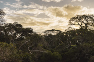 Nature in Moheli, Comoros