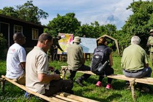 Gorilla Trekking in the Democratic Republic of Congo