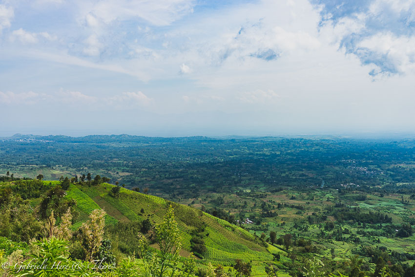Gorilla Trekking in the Democratic Republic of Congo