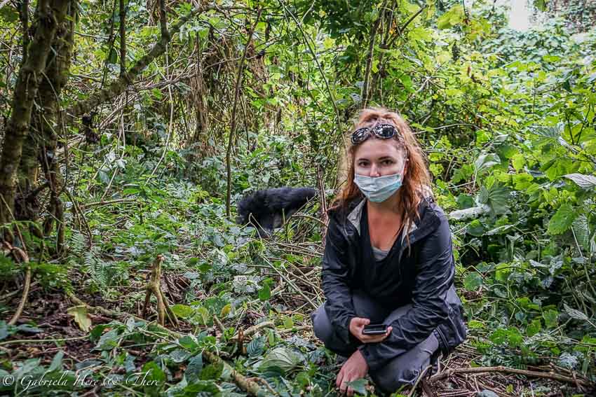 Gorilla Trekking in the Democratic Republic of Congo