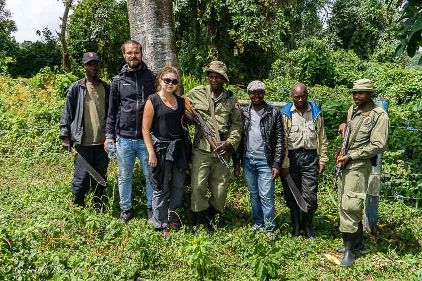 Gorilla Trekking in the Democratic Republic of Congo