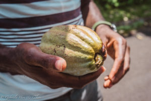 Claudio Corallo, chocolate tasting, São Tomé and Príncipe