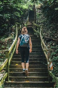 The stairs to the canopy walk, Ulu Temburong National Park, Brunei