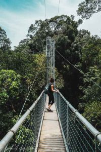 Canopy walk, Ulu Temburong National Park, Brunei