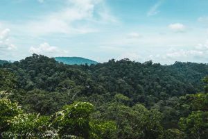 The views from the canopy walk, Ulu Temburong National Park, Brunei.