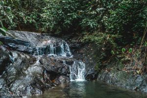 Waterfall in Ulu Temburong National Park