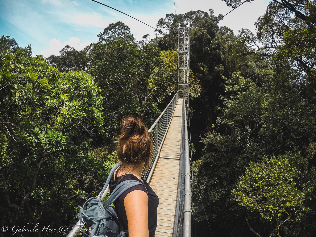Canopy walk, Ulu Temburong National Park, Brunei