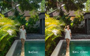 Bali Vibes