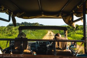 Lopé National Park, Gabon