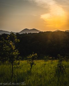 Sunset in Lopé, Gabon