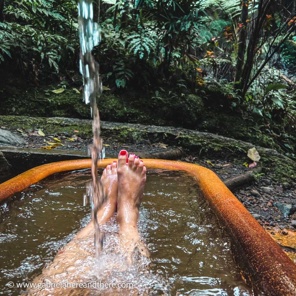 Ti Kwen Glo Cho, Dominica