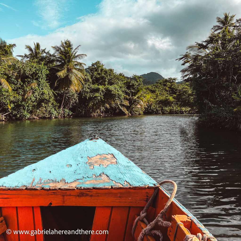 Indian River, Portsmouth