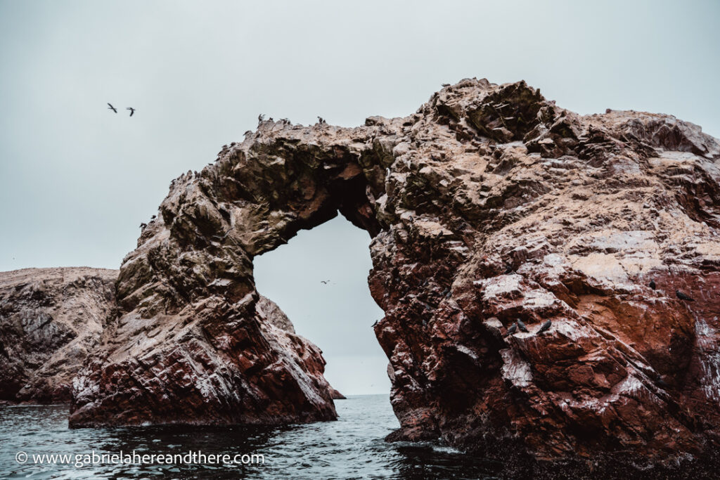 Ballestas Islands, Paracas, Peru