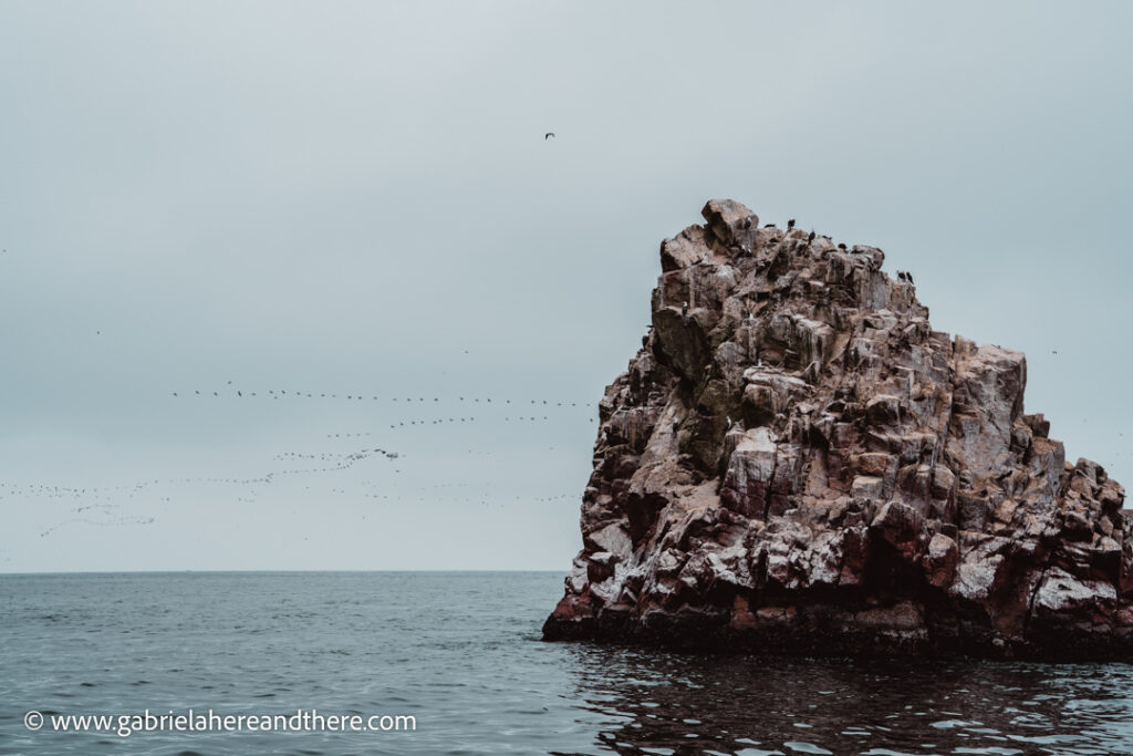 Ballestas Islands Boat Tour, Paracas, Peru