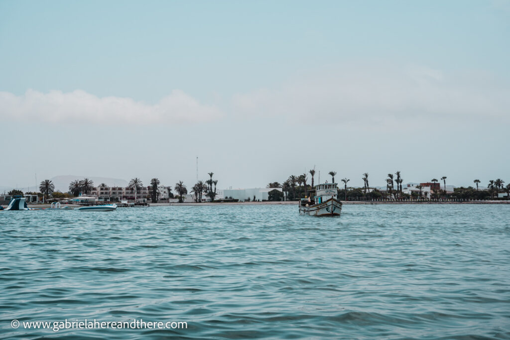 Paracas beach view from the sea, Peru