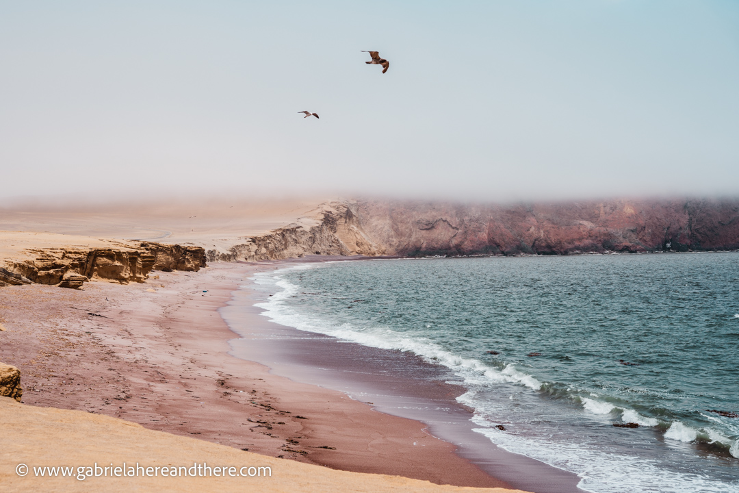 Paracas National Reserve, Peru
