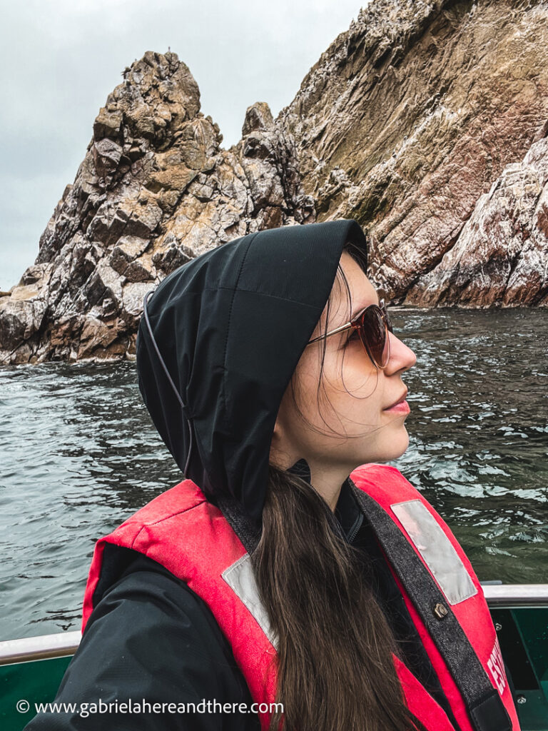 Ballestas Islands Boat Tour, Paracas, Peru