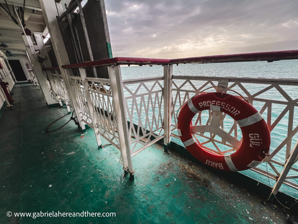 Professor Gul cargo ship