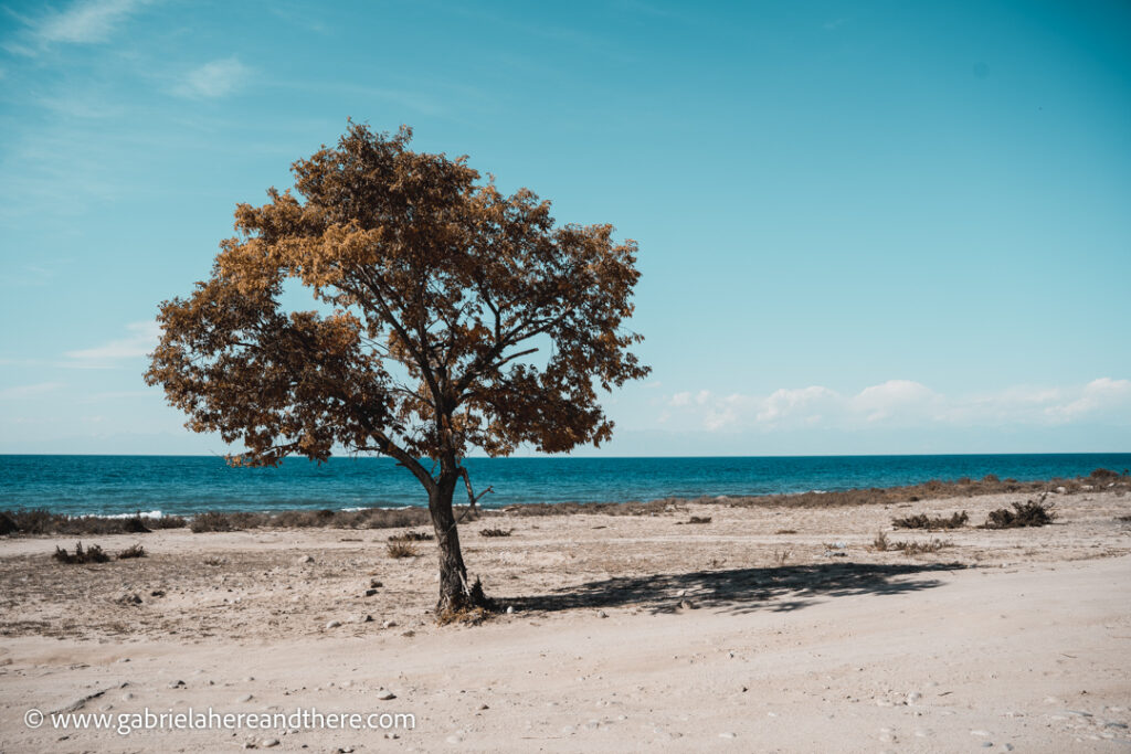 Issyk-Kul Lake, Kyrgyzstan