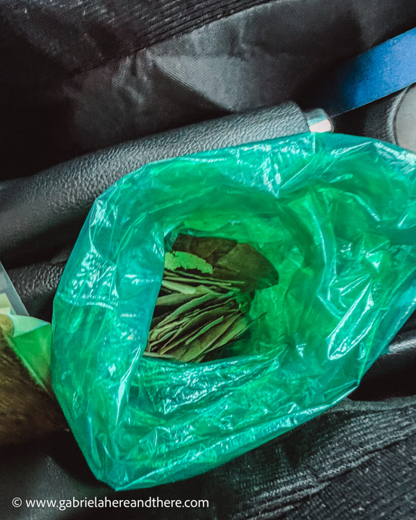 Coca leaves
